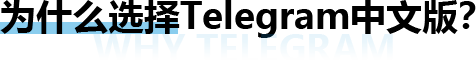 为什么选择telegram?